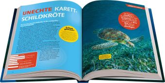 National Geographic Kids - Lexikon der Meere