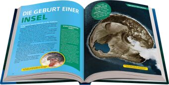 National Geographic Kids - Lexikon der Meere