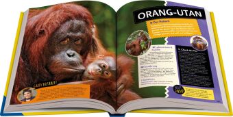 National Geographic Kids - Abenteuer einer Wildtierärztin