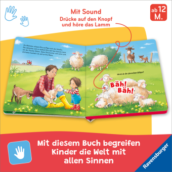 Hör mal hin - Wer kräht hier? Auf dem Bauernhof