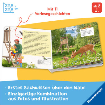 Lotta liebt den Wald