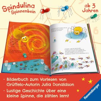 Spindulina Spinnenbein