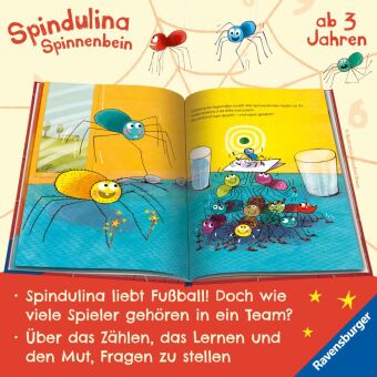 Spindulina Spinnenbein