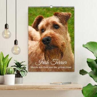 Irish Terrier - Hunde aus Gold von der grünen Insel (Wandkalender 2027 DIN A2 hoch), CALVENDO Monatskalender