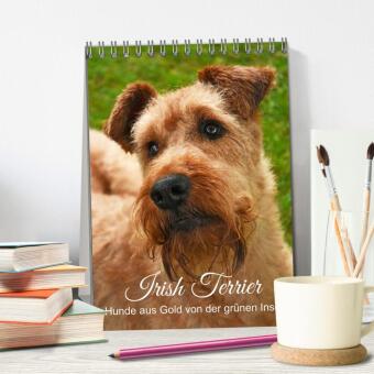 Irish Terrier - Hunde aus Gold von der grünen Insel (Tischkalender 2027 DIN A5 hoch), CALVENDO Monatskalender