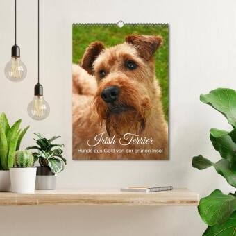 Irish Terrier - Hunde aus Gold von der grünen Insel (Wandkalender 2027 DIN A3 hoch), CALVENDO Monatskalender