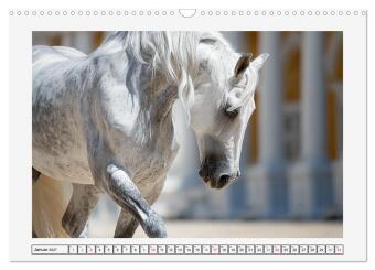 Spanische Eleganz. Edle Schimmel auf dem Gestüt (Wandkalender 2027 DIN A3 quer), CALVENDO Monatskalender