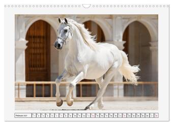 Spanische Eleganz. Edle Schimmel auf dem Gestüt (Wandkalender 2027 DIN A3 quer), CALVENDO Monatskalender