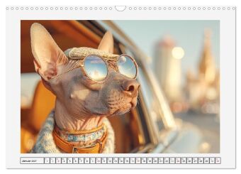 Der Xoloitzcuintli. Uralte Seelen aus aztekischem Erbe (Wandkalender 2027 DIN A3 quer), CALVENDO Monatskalender