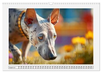 Der Xoloitzcuintli. Uralte Seelen aus aztekischem Erbe (Wandkalender 2027 DIN A3 quer), CALVENDO Monatskalender