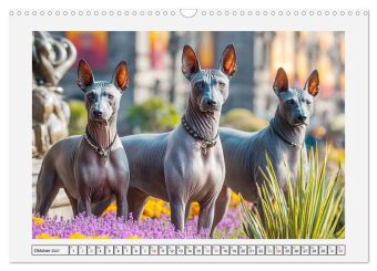 Der Xoloitzcuintli. Uralte Seelen aus aztekischem Erbe (Wandkalender 2027 DIN A3 quer), CALVENDO Monatskalender