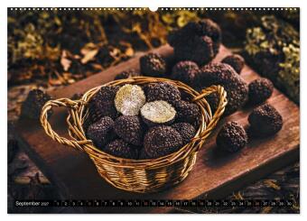 Trüffel - schwarzes Gold (hochwertiger Premium Wandkalender 2027 DIN A2 quer), Kunstdruck in Hochglanz