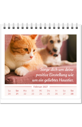 Der Lebensfreude-Tischkalender 2027