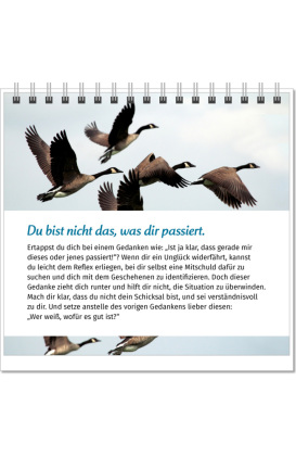 Der Lebensfreude-Tischkalender 2027