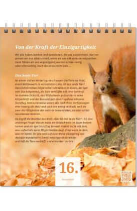 Der Lebensfreude-Adventskalender 2026