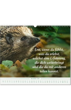 Der Lebensfreude-Inspirationen-Kalender 2027