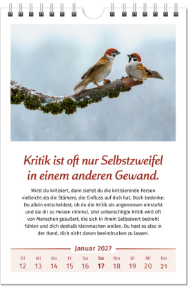 Der Lebensfreude-Kalender 2027 im Großformat