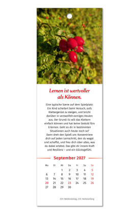 Der Lebensfreude-Lesezeichenkalender 2027