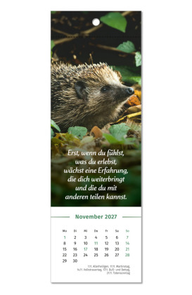 Der Lebensfreude-Lesezeichenkalender 2027