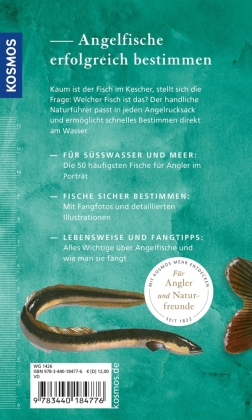 Welcher Angelfisch ist das?