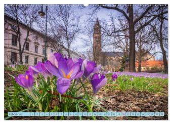 Magdeburger Dom 2027 (Wandkalender 2027 DIN A2 quer), CALVENDO Monatskalender