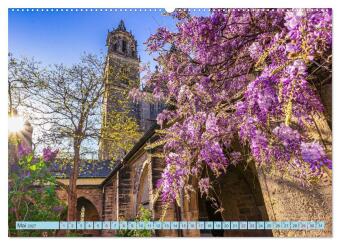 Magdeburger Dom 2027 (Wandkalender 2027 DIN A2 quer), CALVENDO Monatskalender