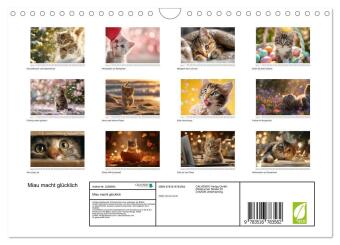 Miau macht glücklich (Wandkalender 2027 DIN A4 quer), CALVENDO Monatskalender