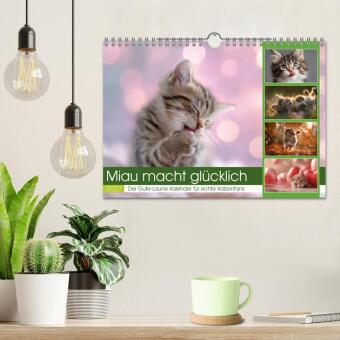 Miau macht glücklich (Wandkalender 2027 DIN A4 quer), CALVENDO Monatskalender