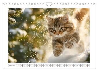 Miau macht glücklich (Wandkalender 2027 DIN A4 quer), CALVENDO Monatskalender