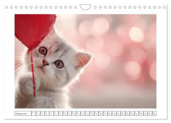Miau macht glücklich (Wandkalender 2027 DIN A4 quer), CALVENDO Monatskalender