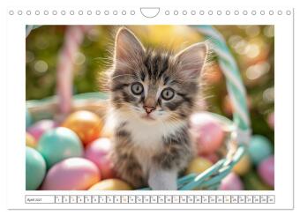 Miau macht glücklich (Wandkalender 2027 DIN A4 quer), CALVENDO Monatskalender