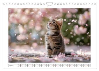 Miau macht glücklich (Wandkalender 2027 DIN A4 quer), CALVENDO Monatskalender
