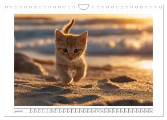 Miau macht glücklich (Wandkalender 2027 DIN A4 quer), CALVENDO Monatskalender