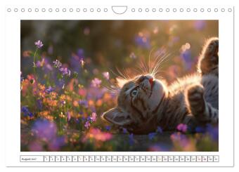 Miau macht glücklich (Wandkalender 2027 DIN A4 quer), CALVENDO Monatskalender
