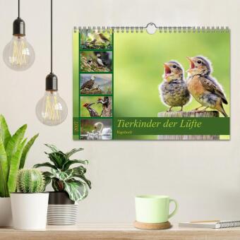 Tierkinder der Lüfte - Vogelwelt (Wandkalender 2027 DIN A4 quer), CALVENDO Monatskalender