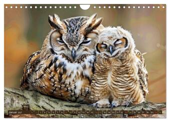 Tierkinder der Lüfte - Vogelwelt (Wandkalender 2027 DIN A4 quer), CALVENDO Monatskalender