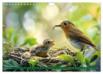 Tierkinder der Lüfte - Vogelwelt (Wandkalender 2027 DIN A4 quer), CALVENDO Monatskalender