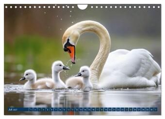 Tierkinder der Lüfte - Vogelwelt (Wandkalender 2027 DIN A4 quer), CALVENDO Monatskalender