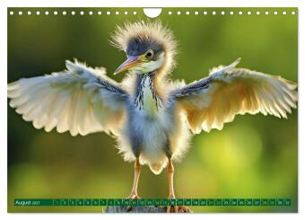 Tierkinder der Lüfte - Vogelwelt (Wandkalender 2027 DIN A4 quer), CALVENDO Monatskalender
