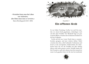 CLUE 4. Grabräuber in der Skutebucht