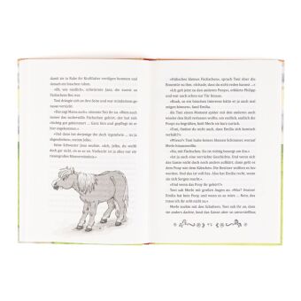 Ponystarke Ferien. Unverhofftes Ponyglück (Band 2)