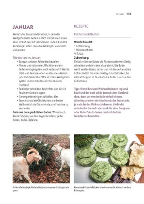 Dein Weg zum essbaren Waldgarten