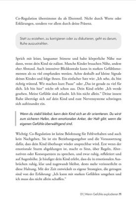 100 Selbstregulations-Tools für Kinder im Grundschulalter | Erfolgreicher lernen, Angst & sozialen Stress reduzieren, Selbstbewusstsein stärken | Auch für Kinder mit ADHS