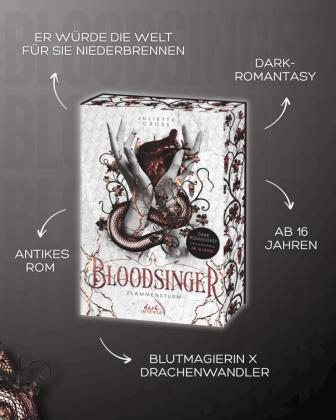 Flammensturm (Band 2) - Bloodsinger