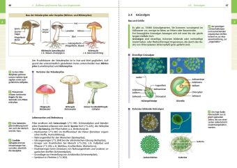 Basiswissen Schule - Biologie 5. bis 10. Klasse