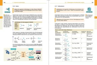 Basiswissen Schule - Chemie 5. bis 10. Klasse