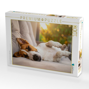 CALVENDO Puzzle Terrier vor der nächsten Action im seligen Schlaf | 1000 Teile Lege-Größe 64x48cm Foto-Puzzle für glückliche Stunden