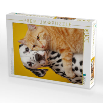 CALVENDO Puzzle Dalmatiner und roter Kater - Tierfreundschaft Hund und Katze | 1000 Teile Lege-Größe 64x48cm Foto-Puzzle für glückliche Stunden