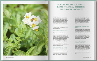 Kartoffelschätze