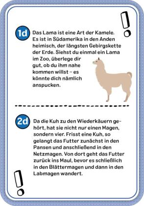 Das Wissens-Quiz